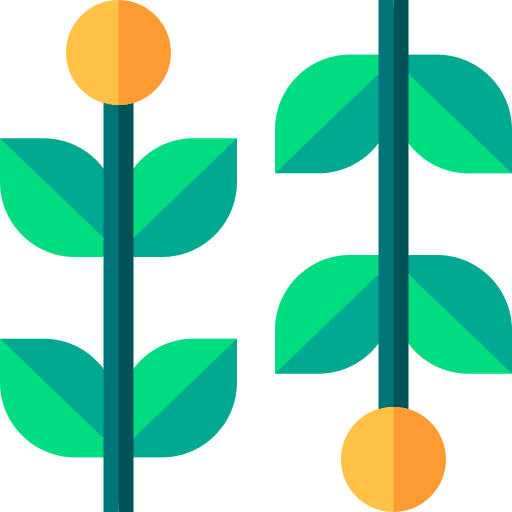 Herbs properties healing herbs icon