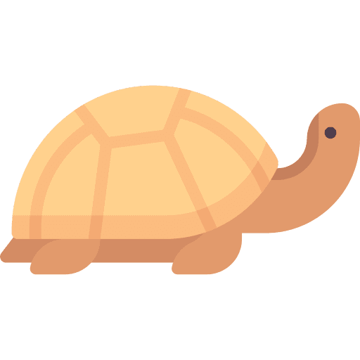 Turtle aquarium animals zoology icon Turtle aquarium animals zoology icon