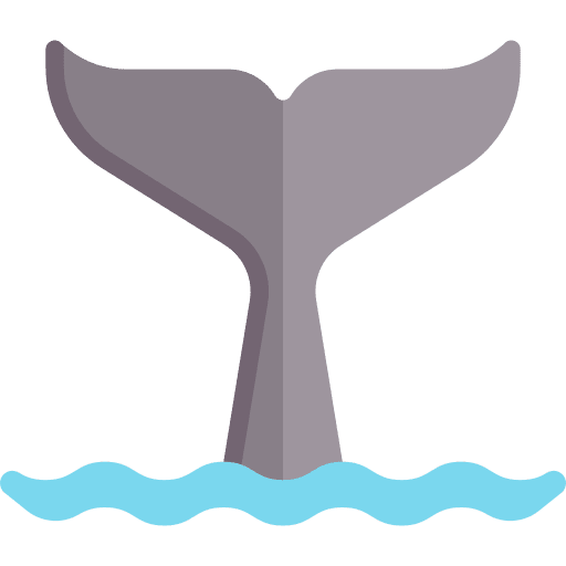 Whale sea zoo animal kingdom icon
