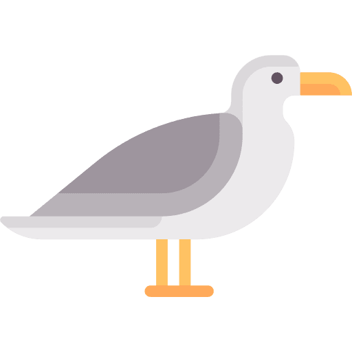 Seagull bird animal kingdom beak icon Seagull bird animal kingdom beak icon
