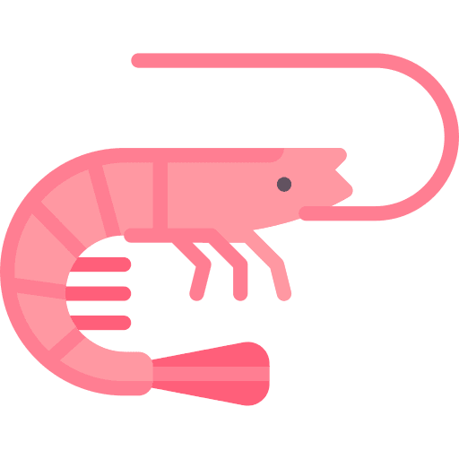 Shrimp animals animal kingdom wild life icon Shrimp animals animal kingdom wild life icon