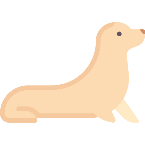 Seal animals mammal wild life icon Seal animals mammal wild life icon