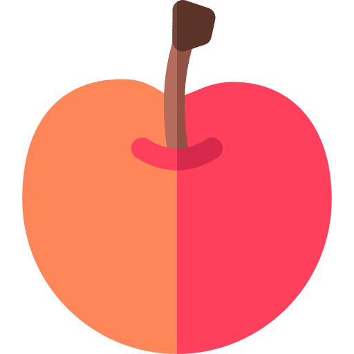 Cherry cherry vegetarian healthy icon