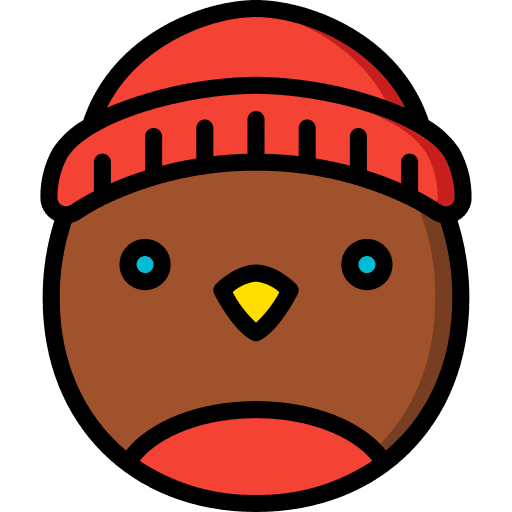 Robin bird pet bill icon