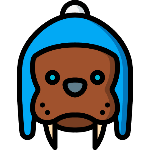 Walrus beanie animals winter icon Walrus beanie animals winter icon