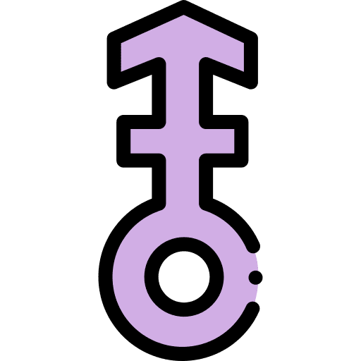 Transgender shapes and symbols transgender signs icon Transgender shapes and symbols transgender signs icon