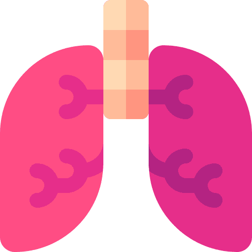 Lungs organ body physiology icon