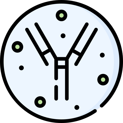 Antibody antibodies immune cell icon