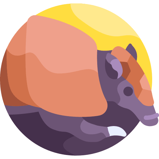 Armadillo animal armadillo wild life icon Armadillo animal armadillo wild life icon