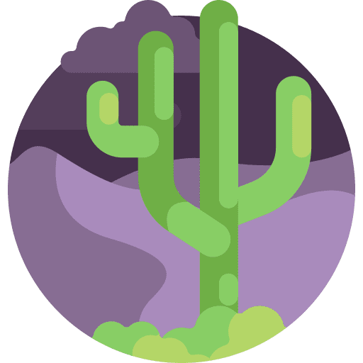 Cactus wild west desert scenery icon Cactus wild west desert scenery icon