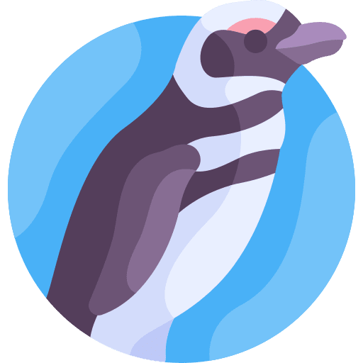 Penguin wild life penguin animal kingdom icon Penguin wild life penguin animal kingdom icon