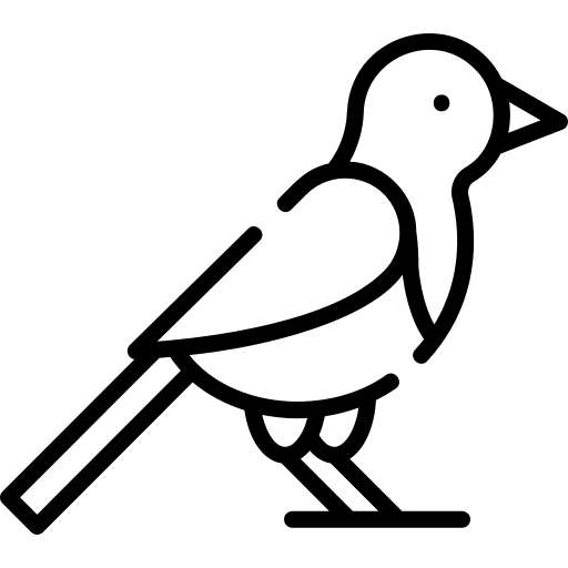 Bird peace bird pigeon icon