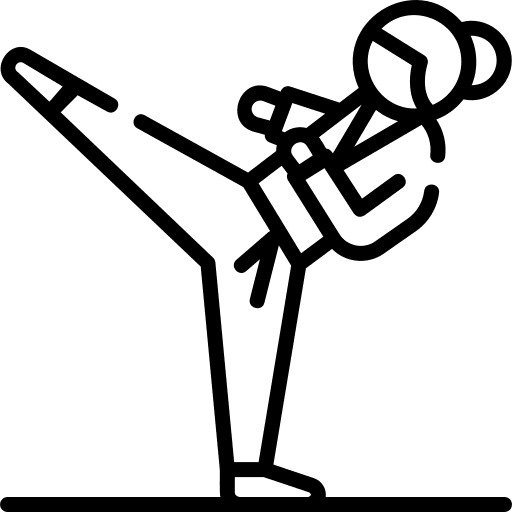 Taekwondo sport sports and competition arts icon
