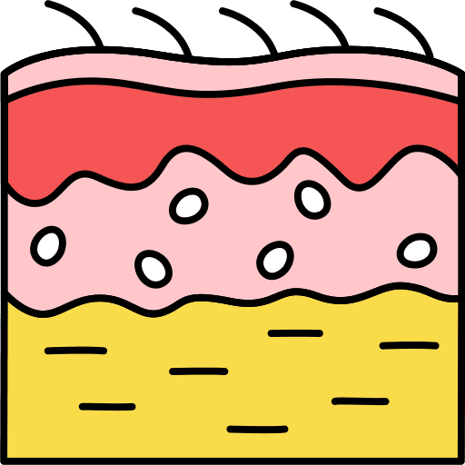 Anatomy anatomy healthcare and medical education icon