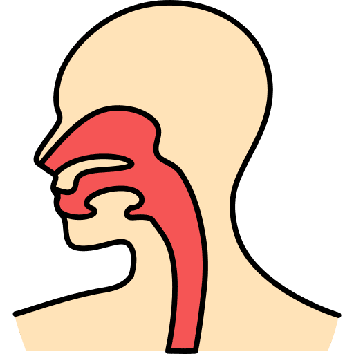 Body organ esophagus body part anatomy icon
