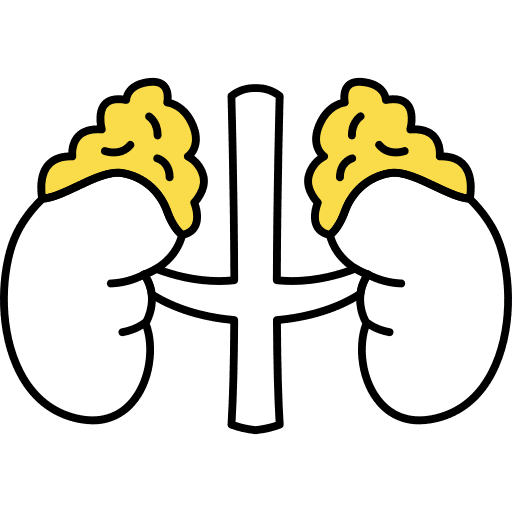 Human organ body part anatomy human body icon