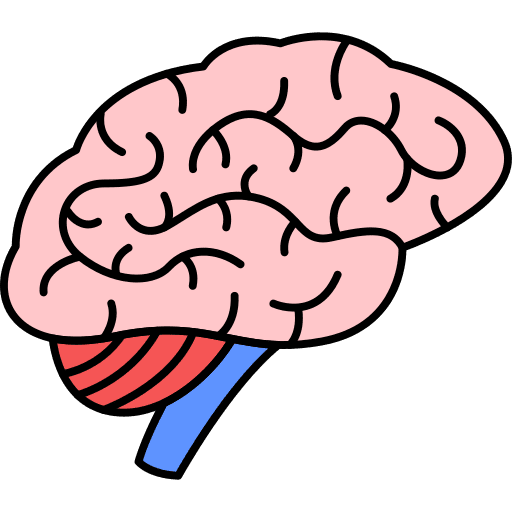 Human organ body part anatomy human body icon