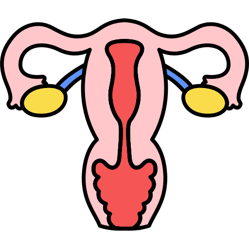 Human organ body part uterus human organ icon