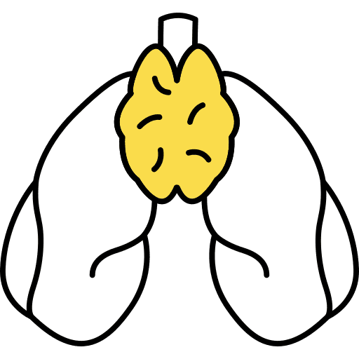 Human organ healthcare and medical education anatomy icon
