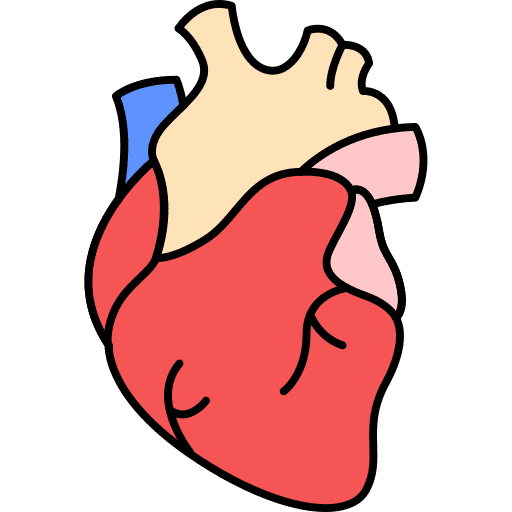 Human organ healthcare and medical human organ anatomy icon