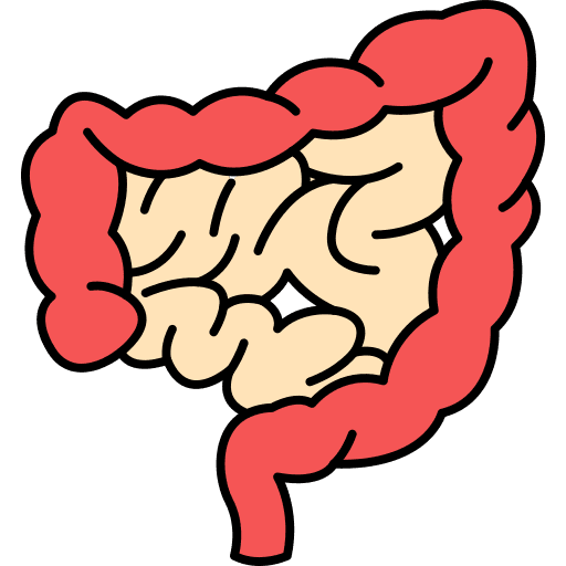 Human organ healthcare and medical human organ human body icon