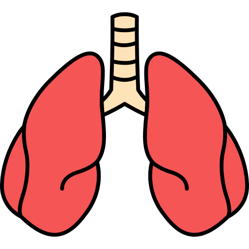 Human organ human organ education anatomy icon