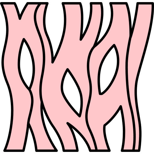 Anatomy anatomy muscle healthcare and medical icon Anatomy anatomy muscle healthcare and medical icon