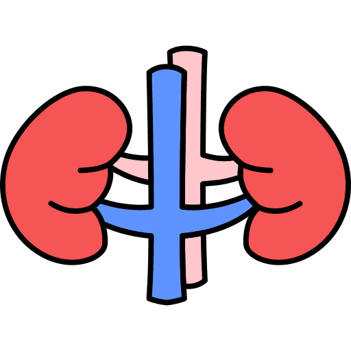 Human organ anatomy education healthcare and medical icon Human organ anatomy education healthcare and medical icon