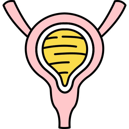 Human organ anatomy healthcare and medical human organ icon Human organ anatomy healthcare and medical human organ icon