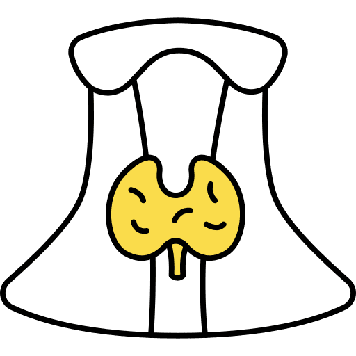 Human organ anatomy human organ thyroid gland icon Human organ anatomy human organ thyroid gland icon