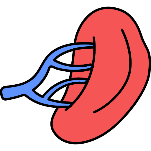 Human organ body part human body education icon Human organ body part human body education icon