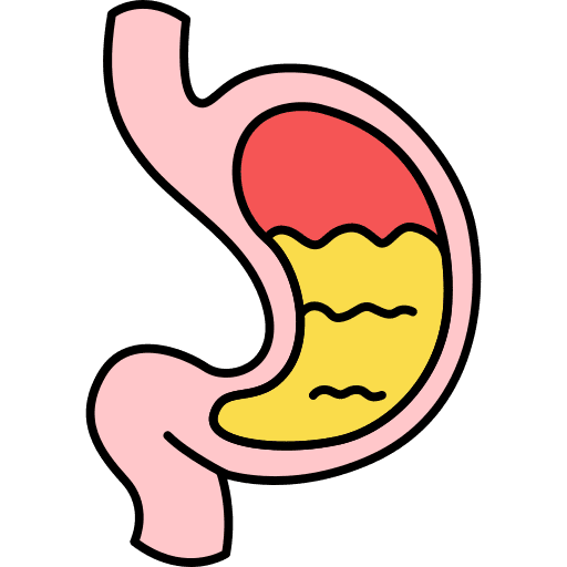 Human organ stomach human organ anatomy icon Human organ stomach human organ anatomy icon