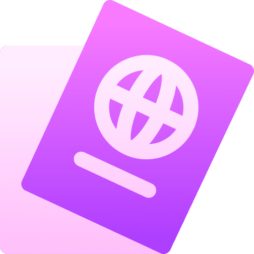 Passport identity visa flight icon