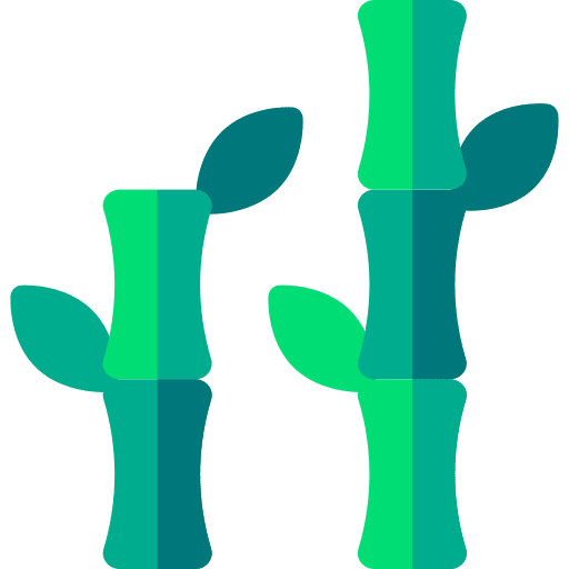 Bamboo plant bamboo botanical icon Bamboo plant bamboo botanical icon