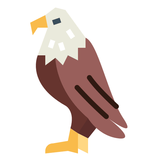 Eagle falcon animals bird icon