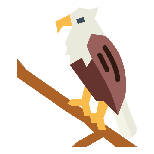 Eagle hawk eagle falcon icon Eagle hawk eagle falcon icon