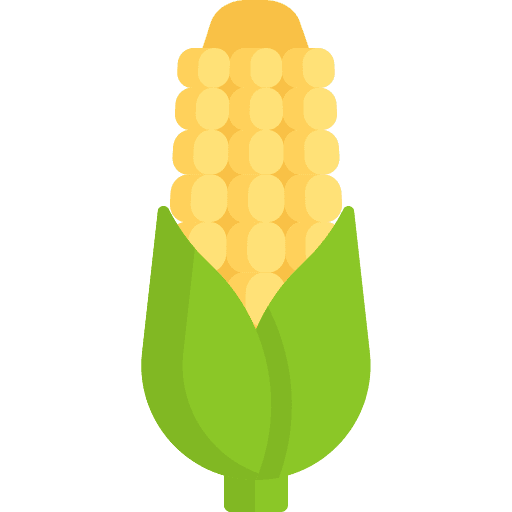 Corn diet vegetable nutrition icon Corn diet vegetable nutrition icon