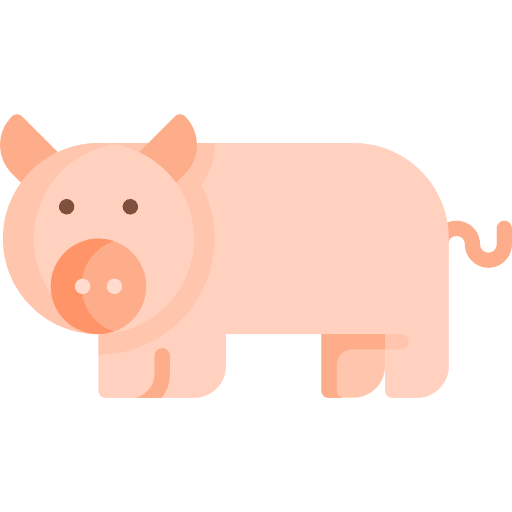 Pig pig animal kingdom fauna icon Pig pig animal kingdom fauna icon