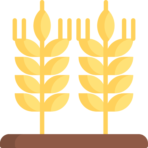 Wheat grain cereal agriculture icon Wheat grain cereal agriculture icon
