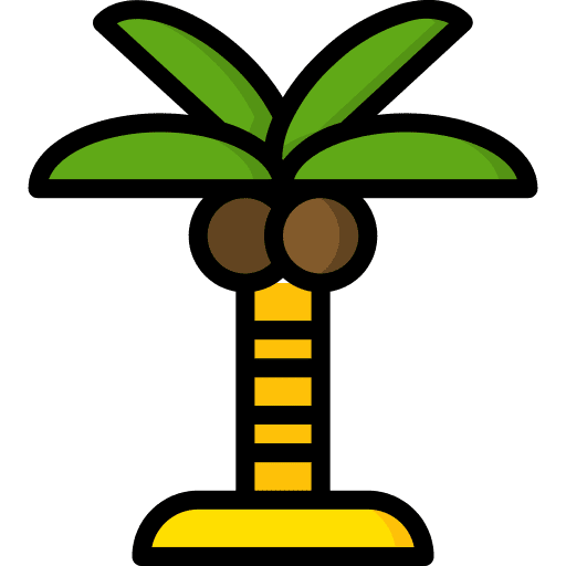 Palm tree holiday plant palm tree icon