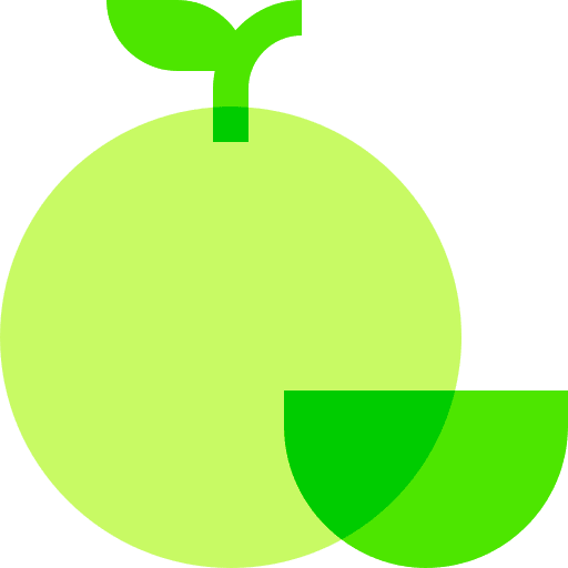 Orange orange healthy food organic icon Orange orange healthy food organic icon