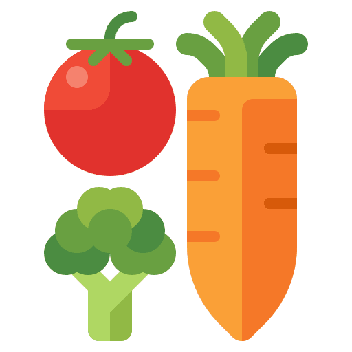 Raw food diet natural broccoli vegetables icon