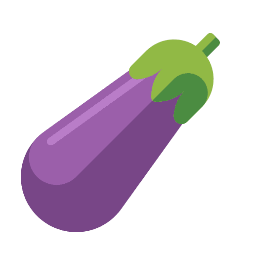 Eggplant vegetarian organic eggplant icon