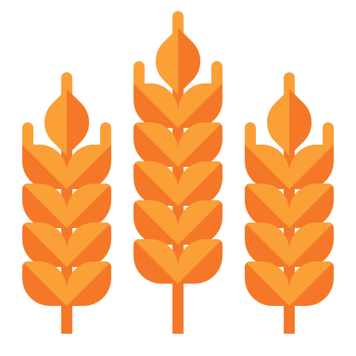 Grain grain farming cereal icon
