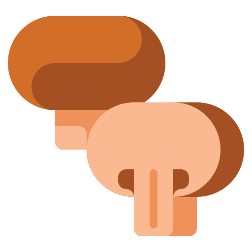 Mushroom autumn fungi nature icon