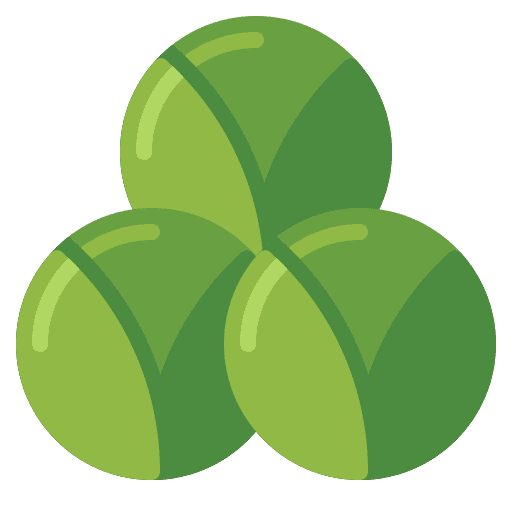 Sprouts vegetables sprouts healthy food icon