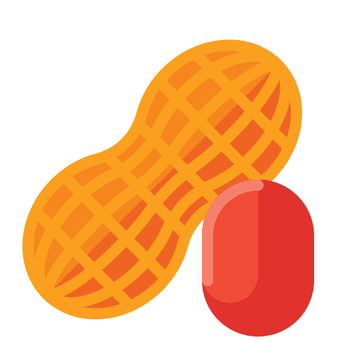 Peanut nut diet nutrition icon