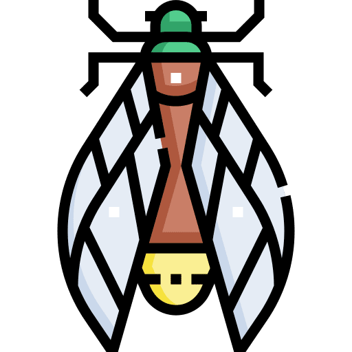 Cicada cicada insect bugs icon