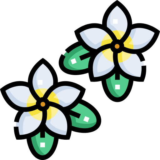 Frangipani frangipani blossom botanical icon