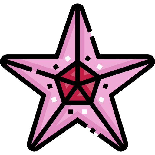 Starfish aquarium animals sea life icon